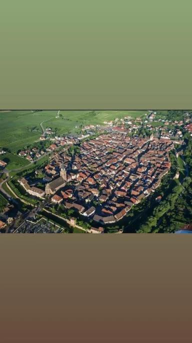 Gite Boniface Pour 2 Pers Bergheim Zewnętrze zdjęcie
