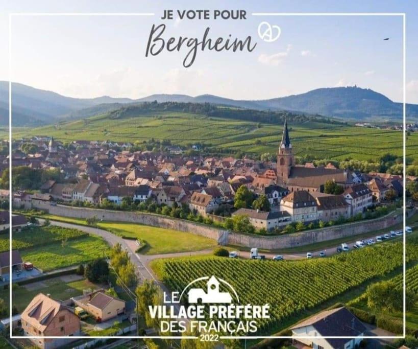 Gite Boniface Pour 2 Pers Bergheim Zewnętrze zdjęcie