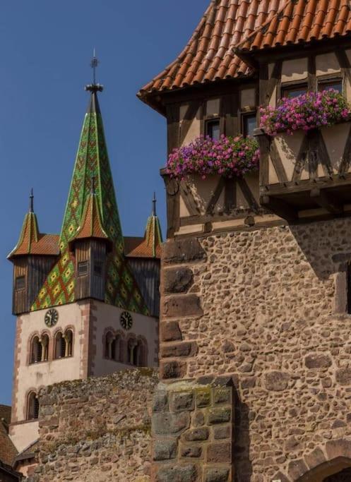 Gite Boniface Pour 2 Pers Bergheim Zewnętrze zdjęcie