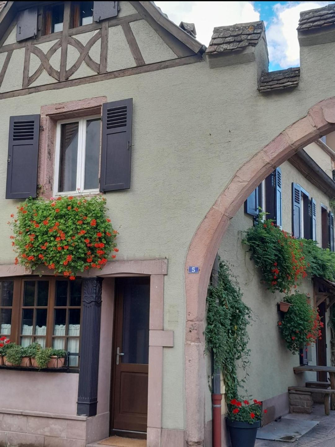 Gite Boniface Pour 2 Pers Bergheim Zewnętrze zdjęcie